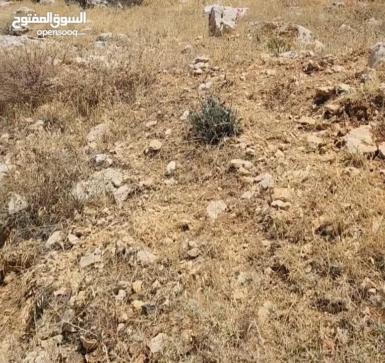 قطعه ارض مطله للبيع في السلط نقب الدبور سكن ج
