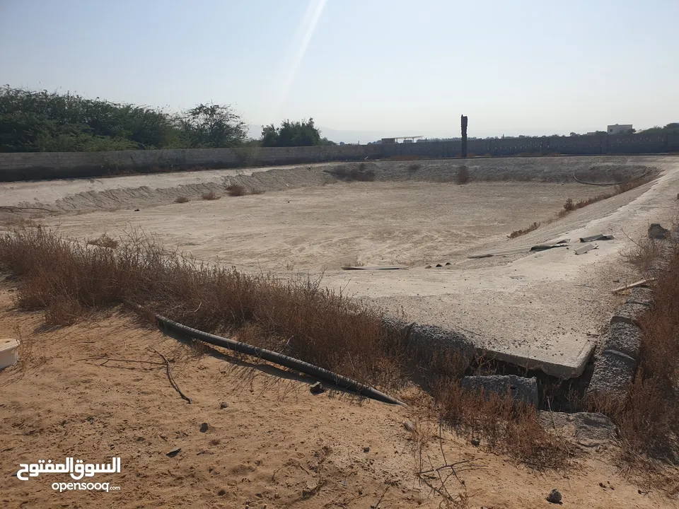 مزرعة للبيع بموقع مميز قريب للخدمات والسعر مناسب