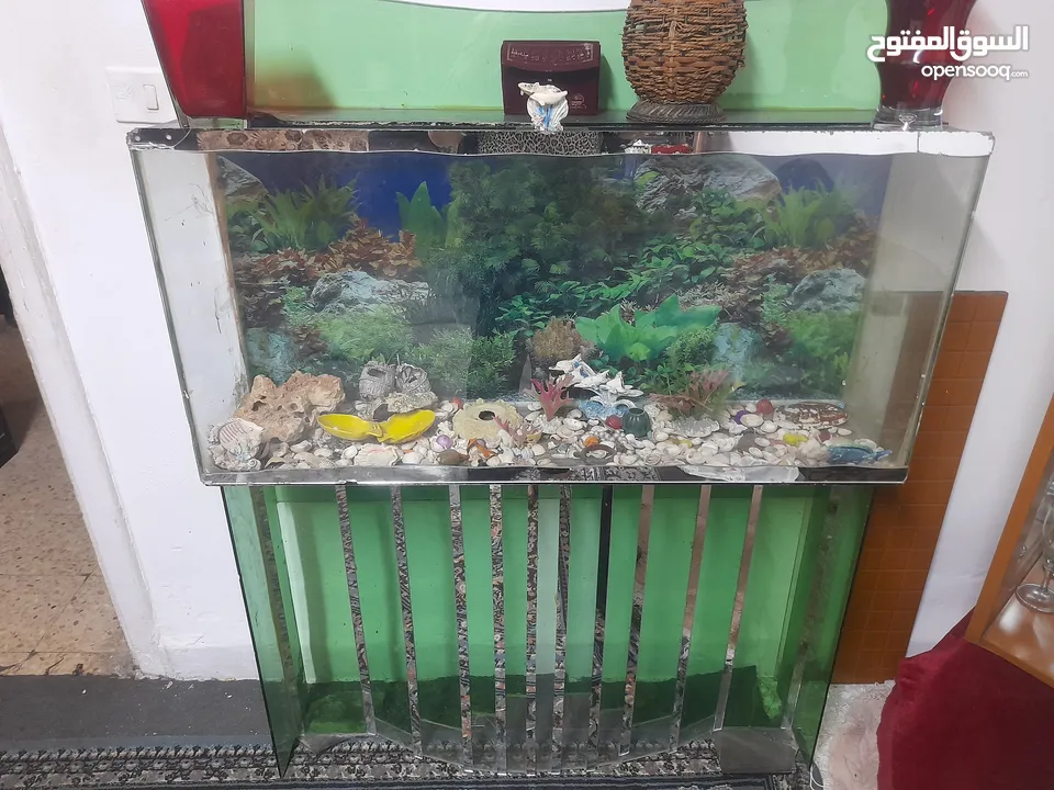 حوض سمك ارتفاع مترين عرض 140