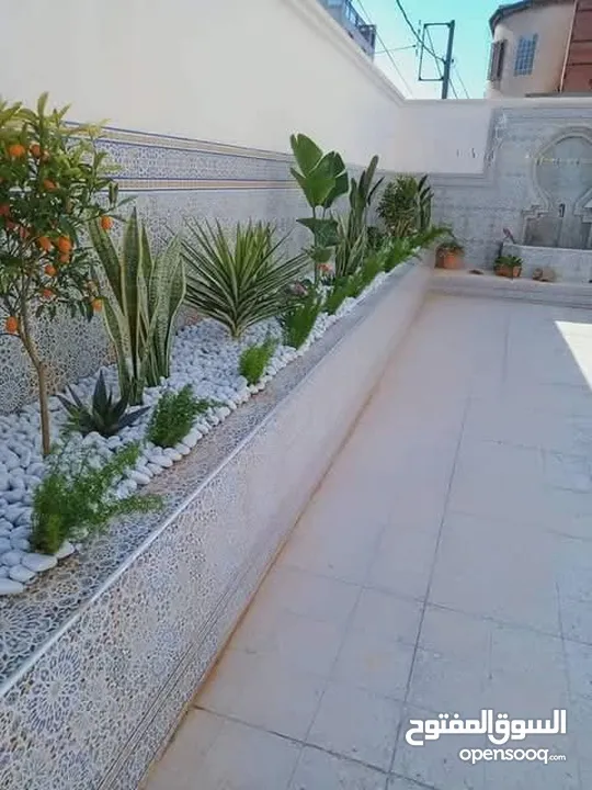 تنسيق حدائق