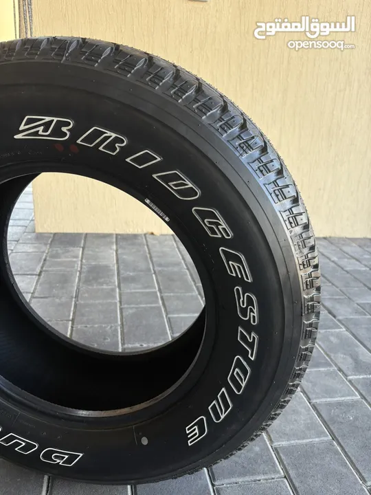 Michelin and Bridgestone r17 tires