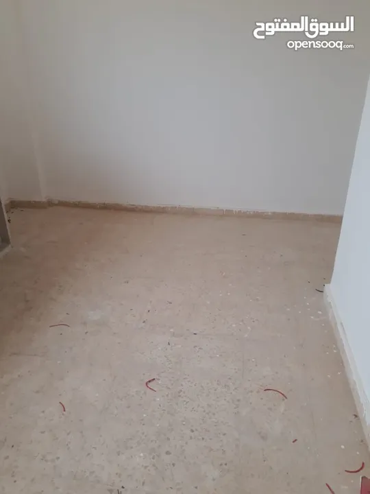 شقق الايجار