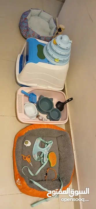مستلزمات قطط استعمل خفيف