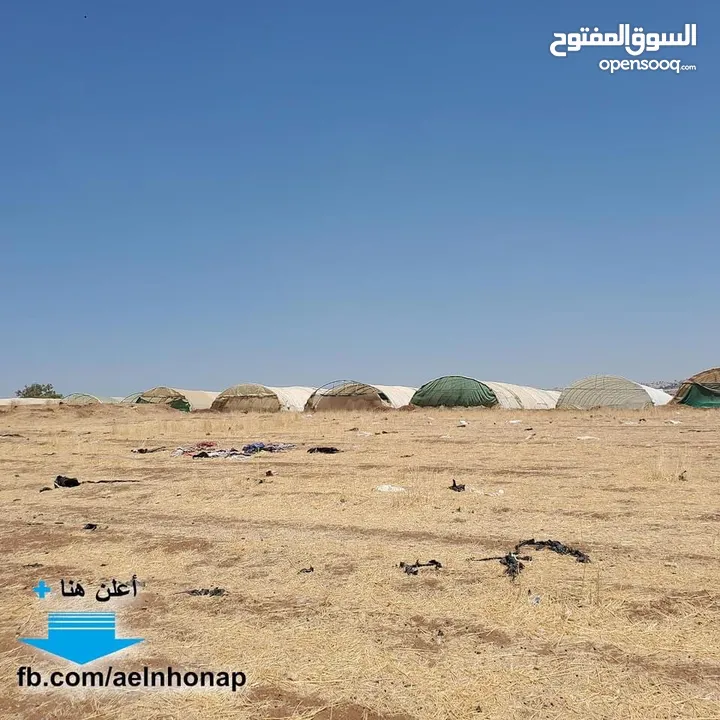 قطعة أرض مفروزة سكنية مميزة للبيع في منطقة أم الدنانير  من أراضي شمال عمان من المالك مباشرة