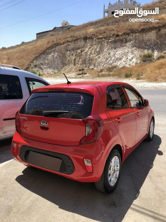 مورنينج بالكراتين بلون مميز