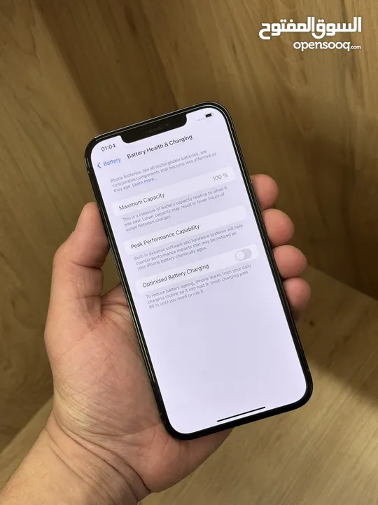iPhone 12 Pro Max 256
