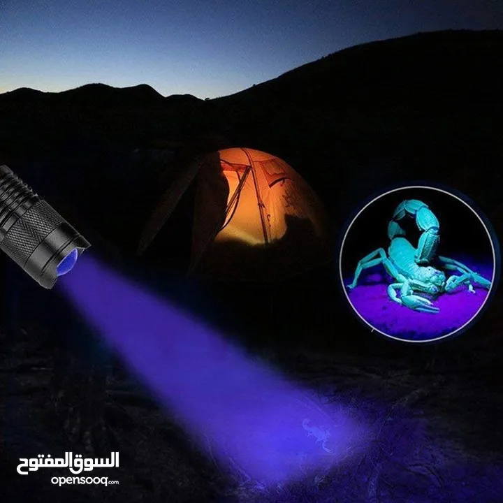 التوصيل الى باب الدار: لامبة كشف العقارب بالأشعة البنفسجية Lampe UV de détection – pour scorpions
