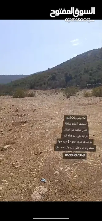 ارض مميزة للبيع