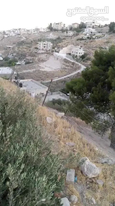 قطعة أرض طابو للبيع