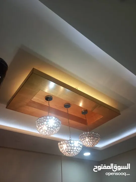 LED strip light. with staker