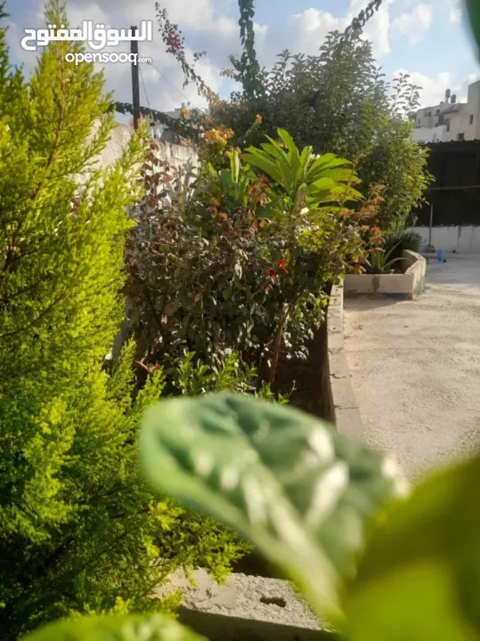 منزل مستقل للبيع في طولكرم جبل النخلة