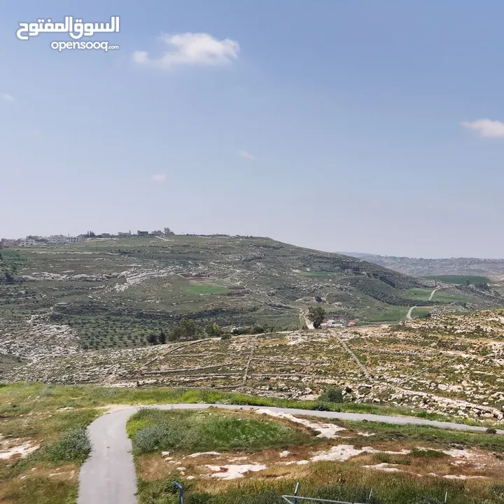 ارض سكنية استثمارية للبيع من المالك مباشرة 700 م تنظيم سكن ب _ ناعور _ حسبان _ شارع مادبا الغربي