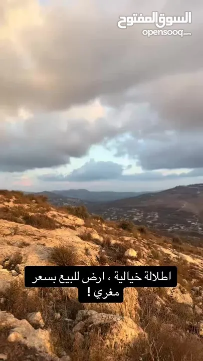 متوفر ارض 200م  في الطيرة والتواصل مع المالك مباشرة