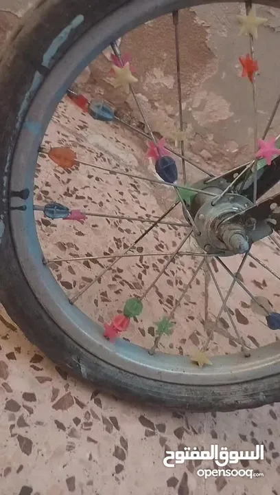 بسكليت لون اسود صيني جنط 16