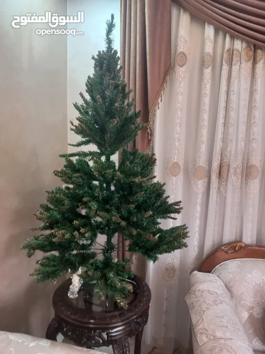 شجرة عيد الميلاد Christmas tree في الزرقاء شارع الكرامه