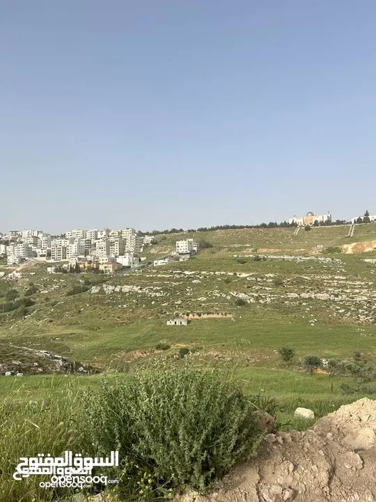 غرب عمان بدر الجديدة قرب دابق