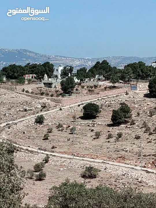 ارض للبيع جرش عنيبه سكان المهندسين