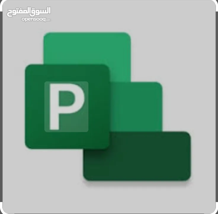 برنامج بروجكت بروفشنال  الكمبيوتر PROJECT 2021  )PROFESSIONAL)