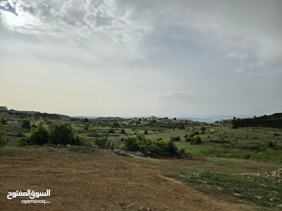غرب سوف سهلات الغربيه قرب قصر السفير الاماراتي منطقه فلل و مزارع راقيه