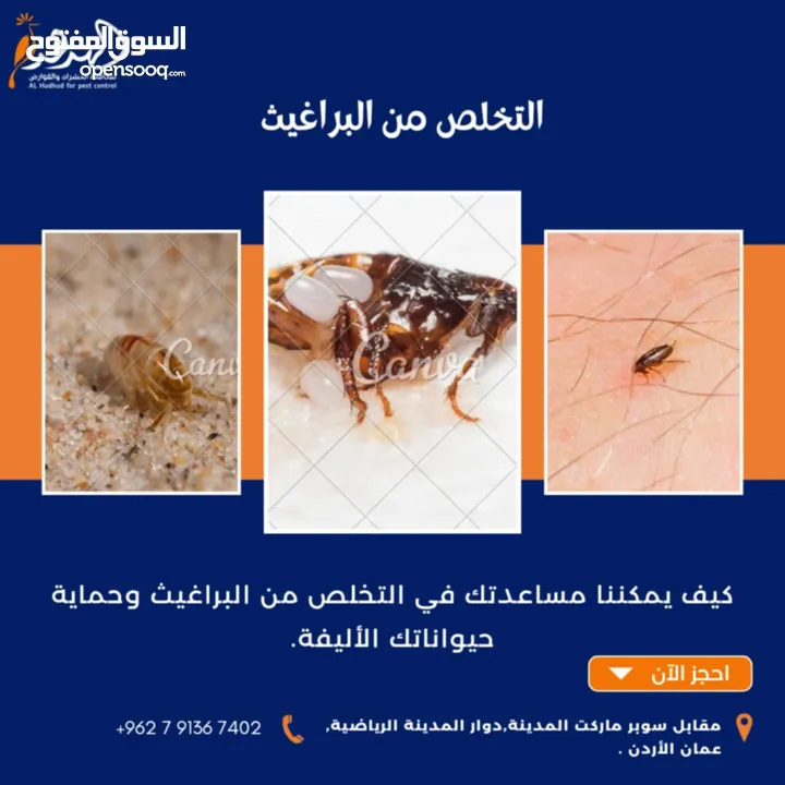شركة الهدهد لمكافحة الحشرات والقوارض والتعقيم وتنسيق الحدائق وخدمات النظافة بخدمتكم