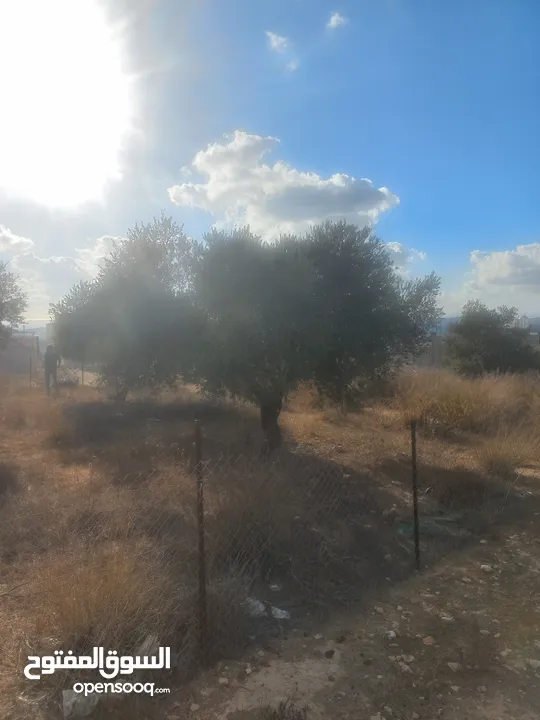 أرض للبيع للبناء مساحة 670 متر مربع مرتفعة ومطلة وقريبة من جامعة بير زيت