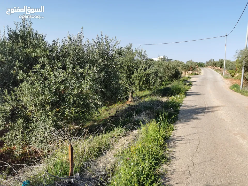 قطعة أرض مميزة في السلط الصبيحي سيحان بسعر مغري بمنطقة جميلة