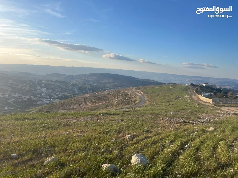 ارض الكمشة - استثمارية عالية و مطلة ( راس جبل)  قريب شارع الاردن 4 دونم إطلالة بانورامية مطلة