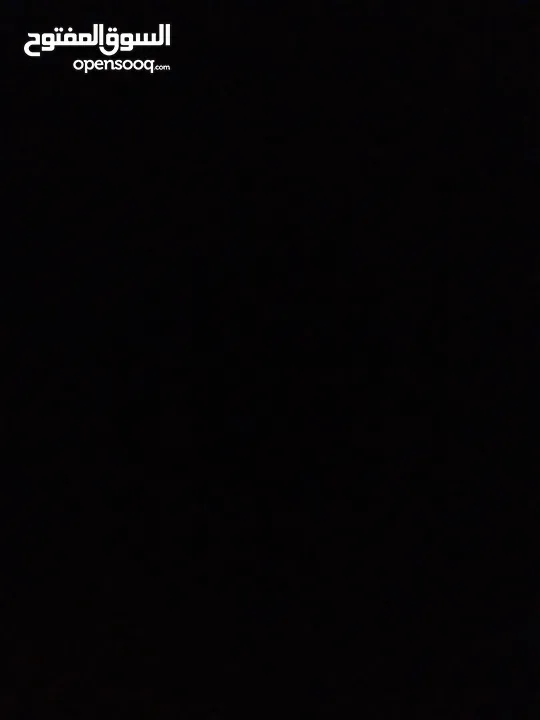 كلب زينة kokoni للبيع بسعر نار