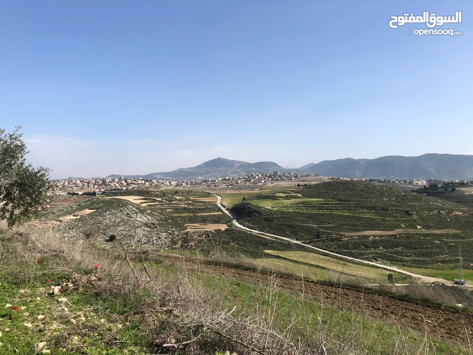 ارض سكني للبيع بالكفور جنوب لبنان