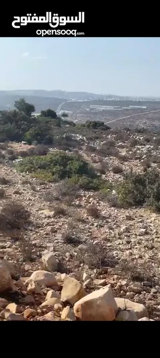 ارض للبيع فؤ عين سينيا المساحه 9 دونم