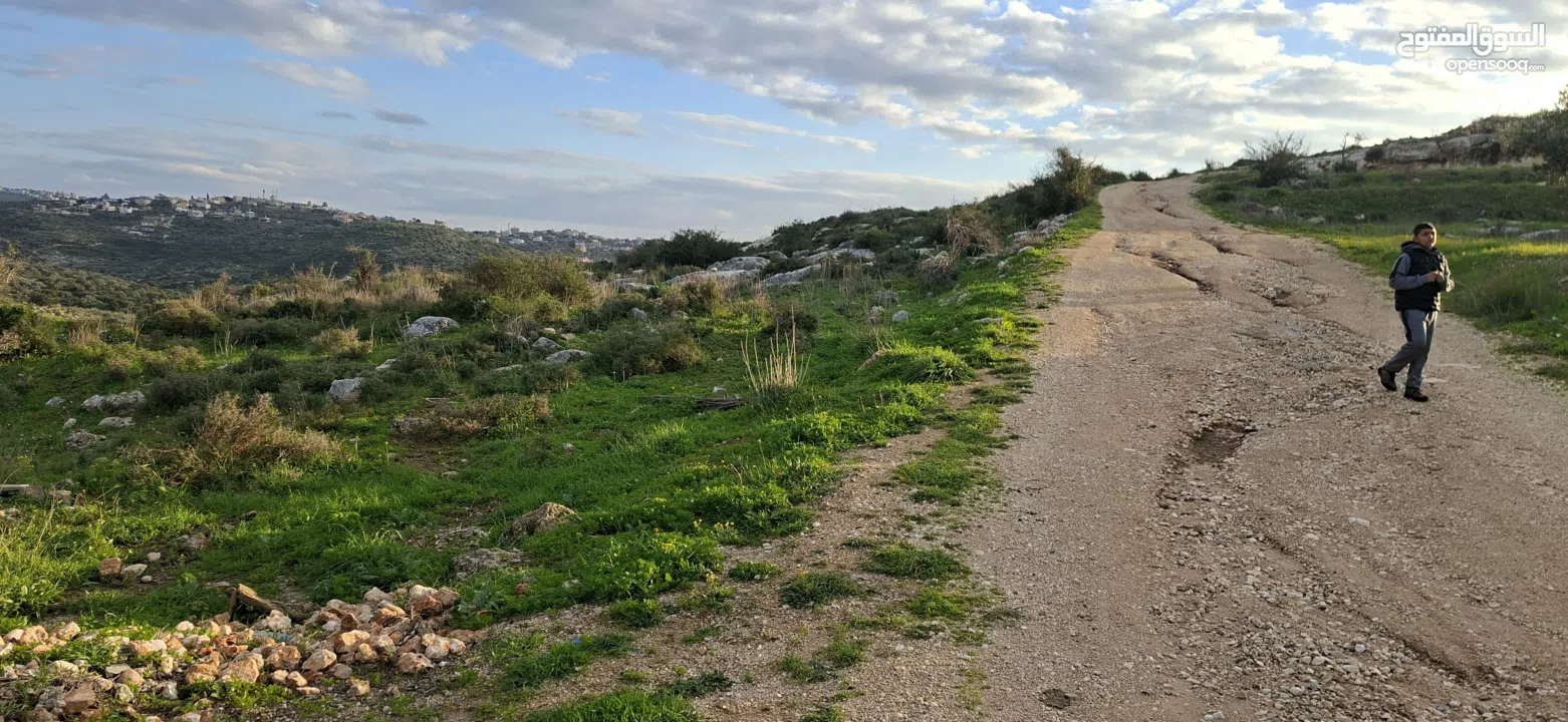 دونم ارض طابوا فلسطيني منطقة (B)بالقرب من دوار كفرصور جميع الخدمات فيها عليها شارع 12متر موقع مميز