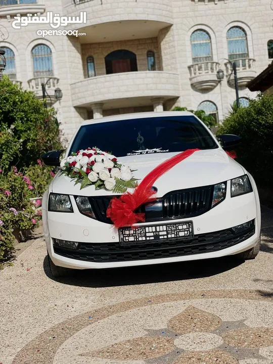 سكودا اوكتافيا 2019