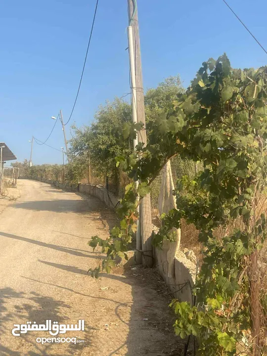 اراض 9 دونم مع مشروع مزرعه جاج مرخصه و موقع استراتيجي قريب ع معبر تجاري و مدخل اهل الداخل محتل