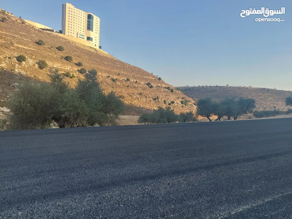 دونم ارض للبيع في الريحان