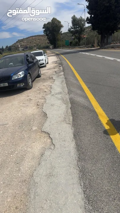 سكودا اوكتافيا