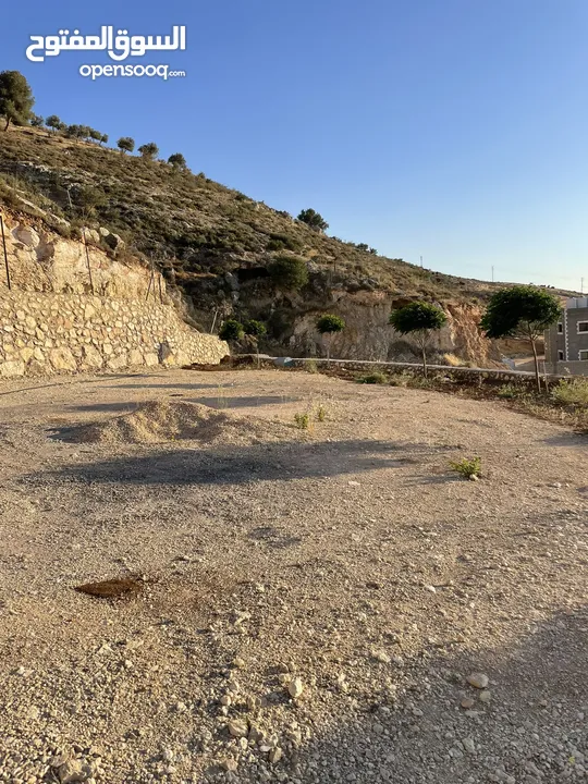 مزرعة في مغاريب السلط من المالك مباشرة