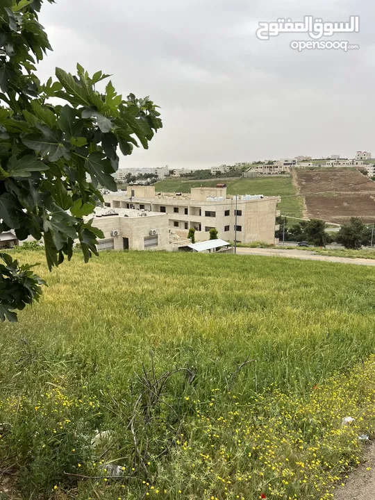 ارض بالسلط قرب الجامعة الأهلية مميزة للبيع من المالك مباشرة