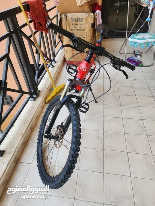 Excellent condition mountain bycycle and Cruiser bicycle for sale....