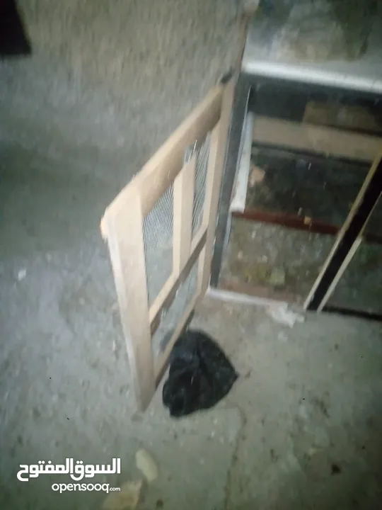 جوز حمام يمامه للبيع صحه ونضافه وشغال