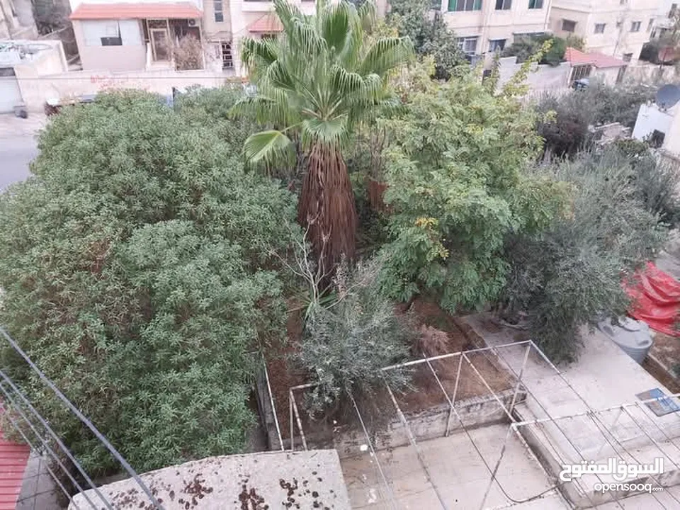 عمارة 4 طوابق للبيع في حي نزال على دونم ارض تحتوي 8 شقق وروف من المالك