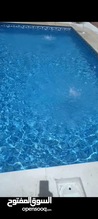 بناء مسابح برك سباحة نظام سكيمر واوفر فلو .
