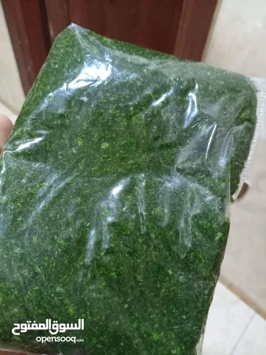 ملوخية خضرا متوفره ورق و مفرومه على اليد