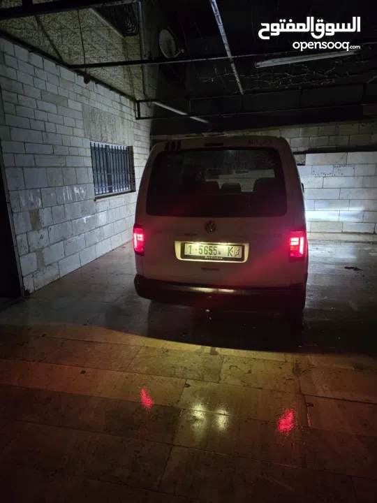 كادي شصي طويل