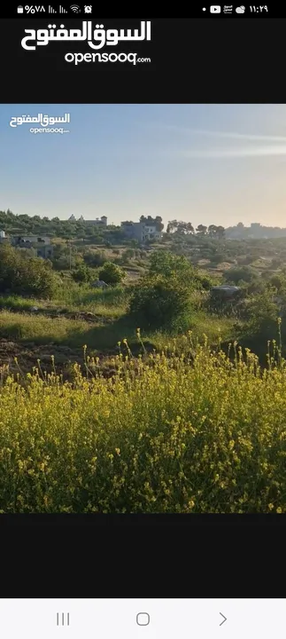 ارض للبيع في منطقه بتونيا  مساحه 800متر صالحه للبيناء  فيلا او اسكان