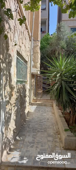 عمارة للبيع في الزرقاء الجديدة شارع 16 مكونة من ثلاث طوابق