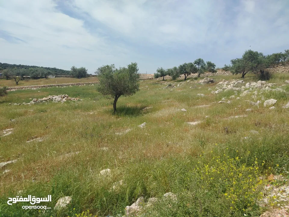 دنم مميز بطنا ع شارعين قرب شارع الستين الجديد