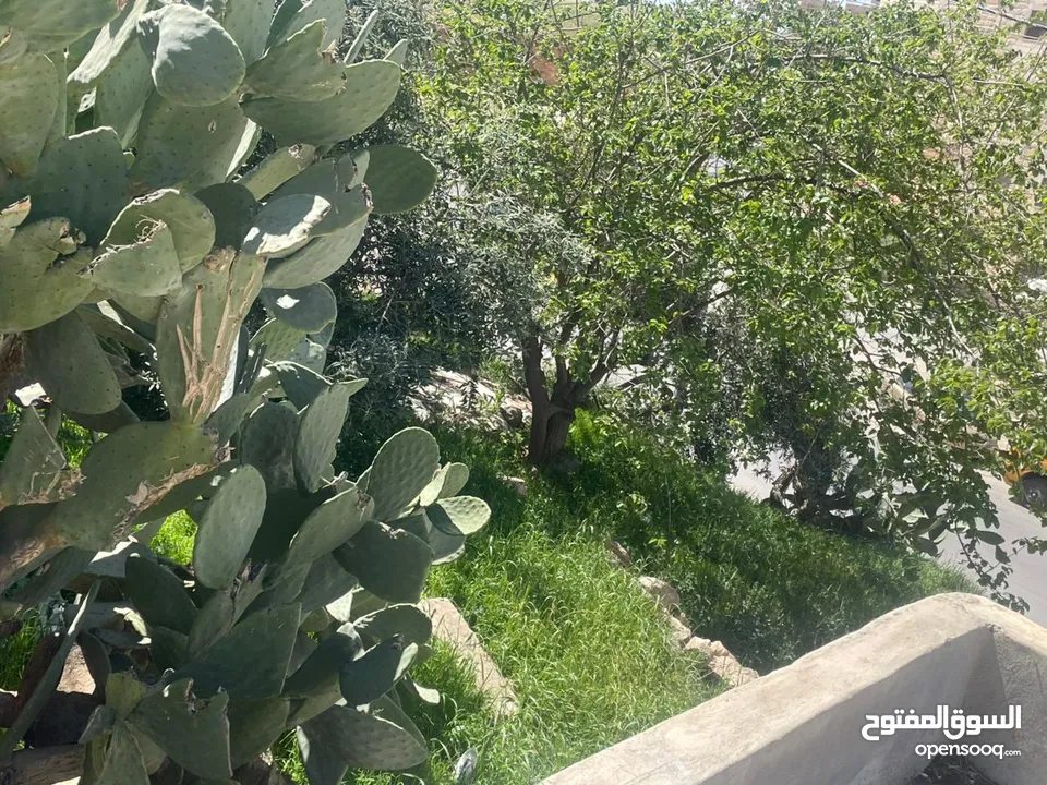 منزل مستقل للبيع ارض /حجه/ مش قوشان  بسعر حرق طبربور ضاحيه الصفا