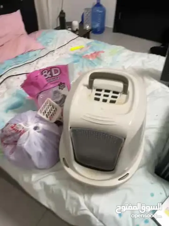 لتر بوكس للبسس نضيف كتير فش فيه ولا خراب و الرمل نظيف نظيف