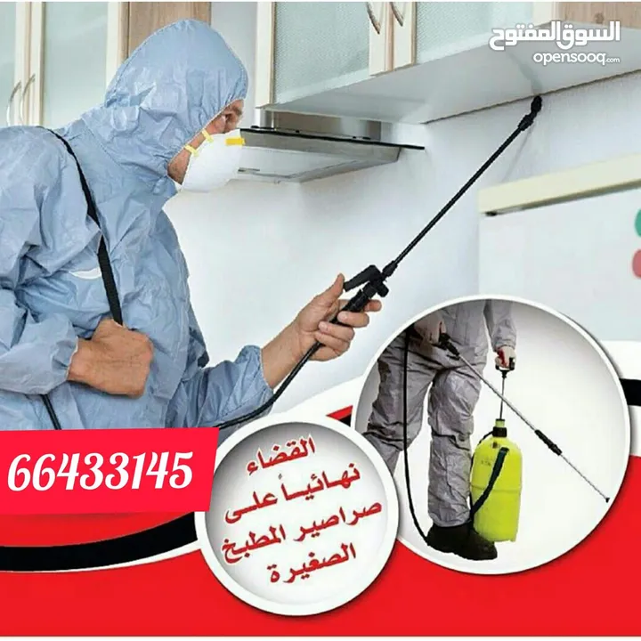 شركة الرحمة لمكافحة الحشرات والقوارض جميع مناطق الكويت خدمة 24 ساعة علي مدار اليوم