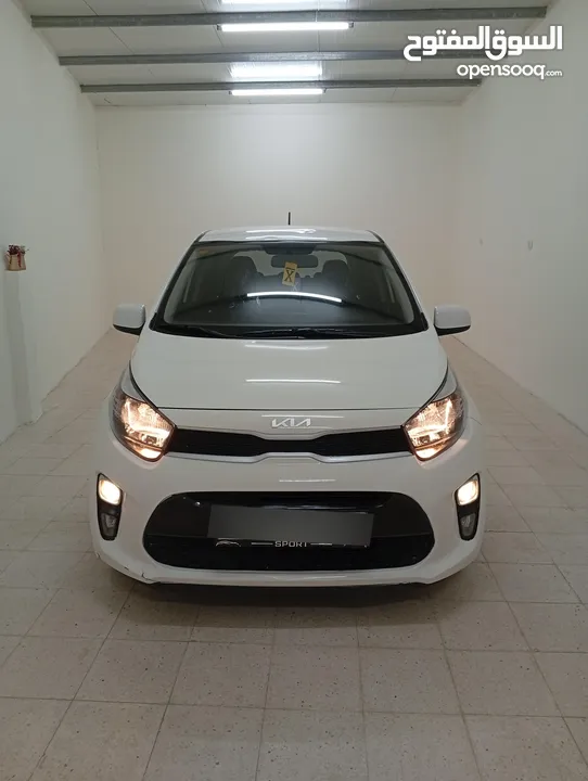 كيا بيكانتو متور 1200 موديل 2022 سعر حرق على الكاش إمكانية البيع نص كاش ونص شكات